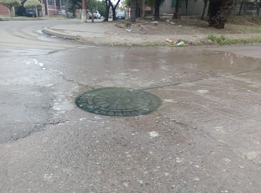 Cloaca3