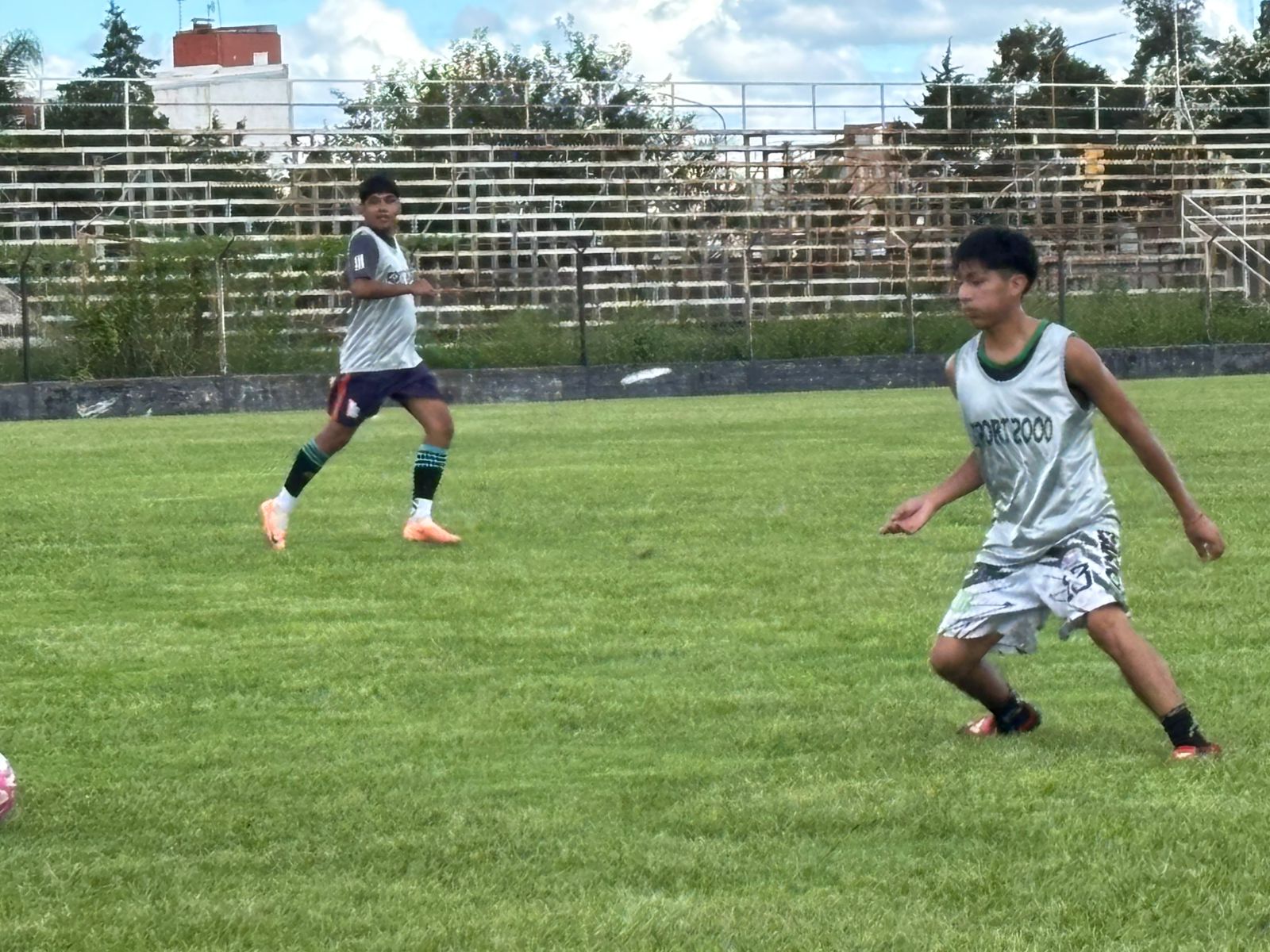 WhatsApp Image 2026-02-03 at 10.03.15 (1)