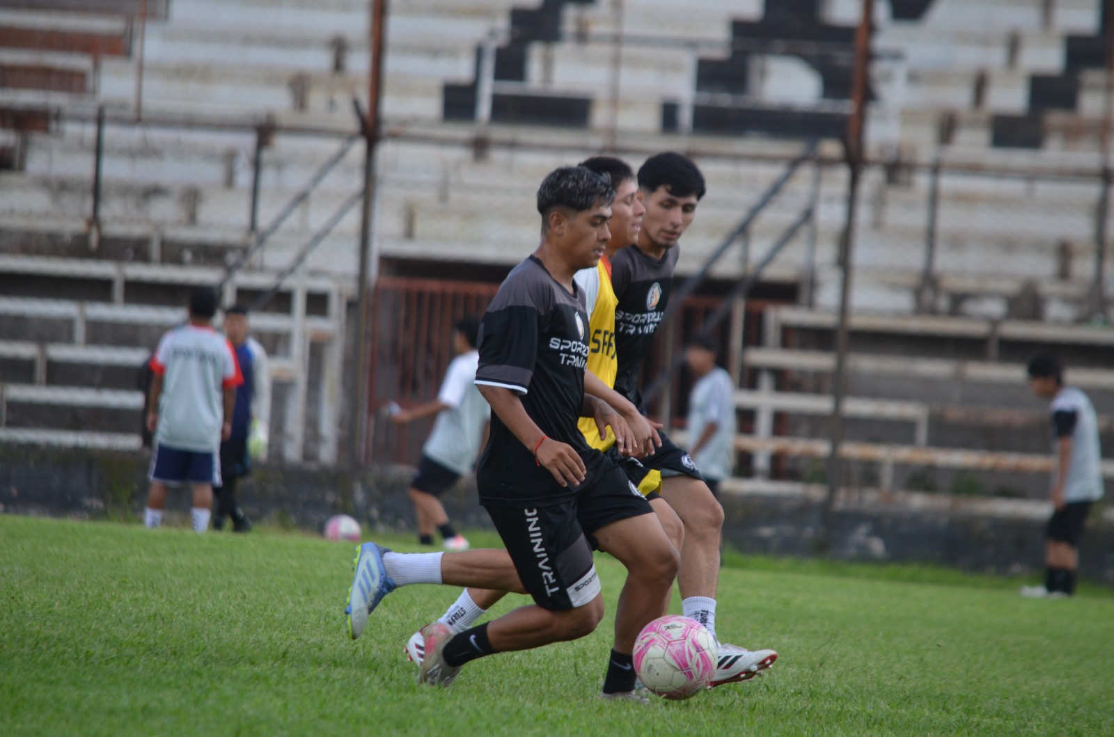 WhatsApp Image 2026-02-03 at 11.47.31 (1)