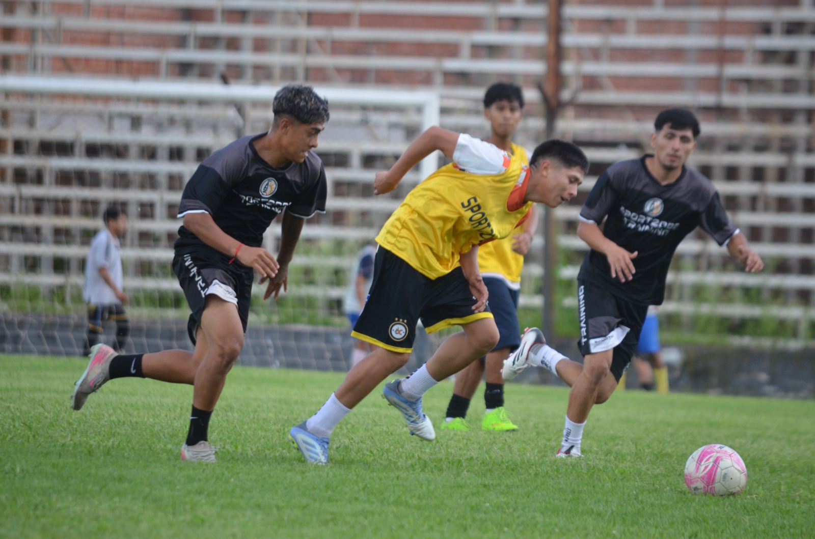 WhatsApp Image 2026-02-03 at 11.47.31